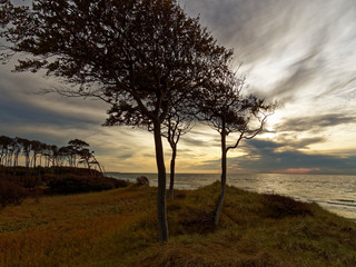 Fototapeta premium Lichtstimmung am Abend am Darßer Weststrand, Nationalpark Vorpommersche Boddenlandschaft, Mecklenburg Vorpommern, Deutschland