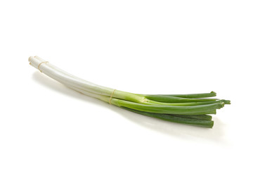 Fresh green leek