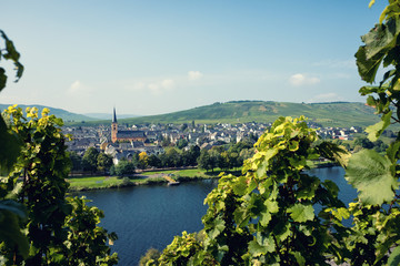 Vineyards of the Moselle Valley in Germany