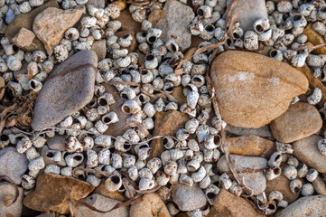 pile of stones on beach