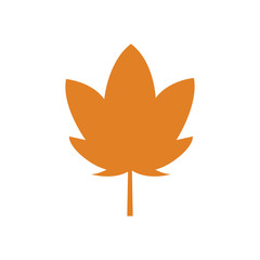 decoration leave color decoration background