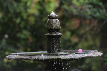 Fountain top