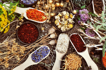 Medicinal flowers and herbs background, selective focus, toned