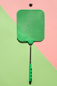 fly swat