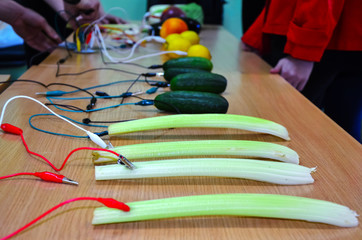 vegetables instead of musical instruments. device. mini-controllers.