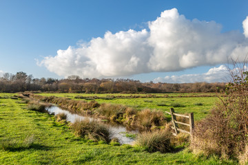 The Winterbourne Stream on the Railway Land, in Lewes, Sussex © lemanieh