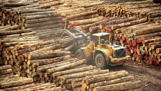 Lumberyard in Picton harbor and mechanical grabber loading timber on cargo ships South Island New Zealand