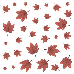 Obraz premium autumn leaves foliage decoration background