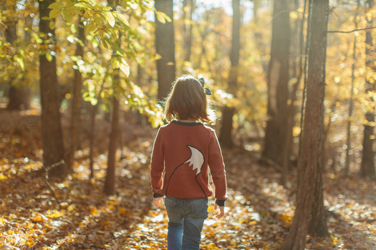 Cute young girl in a sweater walking in the woods