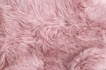 Pink sheep fur Natural sheepskin background texture