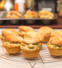 Baked Dinner Buns or Pies with Chicken and Veggies