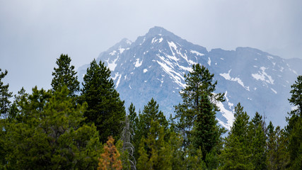 Grand Tetons