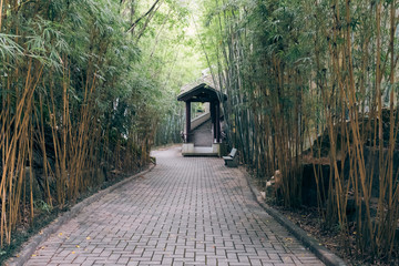 Path in Chinese style garden