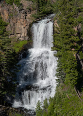 waterfall in the forest