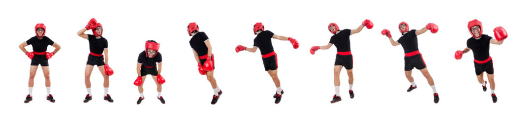 Funny boxer isolated on the white