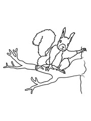 klettern ast eichhörnchen nagetier süß niedlich sitzend comic cartoon design grauhörchen klein baum festhalten wald herbst nüsse clipart