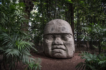 cabeza olmeca mexicana, de tabasco antigua cultura ancestral