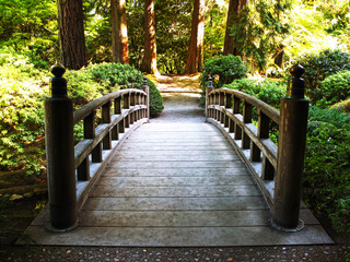 Fototapety  Most w ogrodzie japońskim