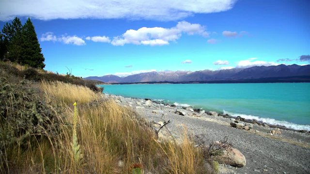 Natural beauty of Lake Tekapo with turquoise water and grass beach Mackenzie Basin South Island New Zealand