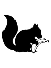 essen banane hunger lecker obst schwarz eichhörnchen nagetier süß niedlich sitzend comic cartoon design grauhörchen klein baum wald herbst nüsse clipart
