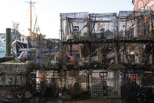  lobster traps