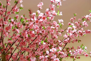 Closeup plastic sakura tree for background