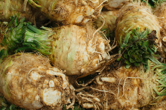 Celery Root