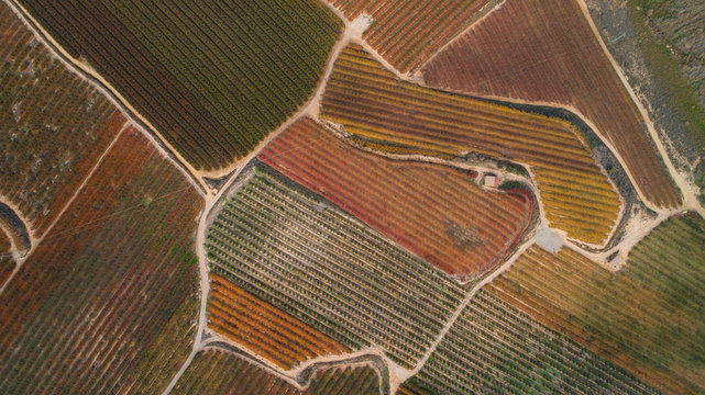 Aerial view of a countryside at autumn season