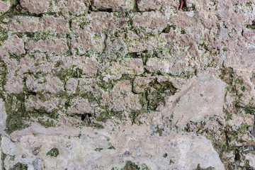 Old brick wall and lichen concrete crack