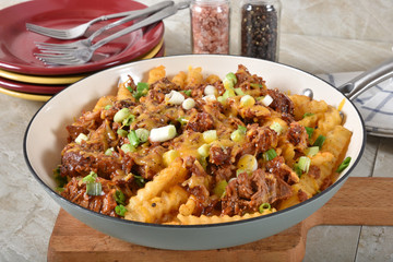 Loaded french fries with barbecue pork