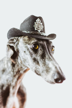 There's a new sheriff in town!