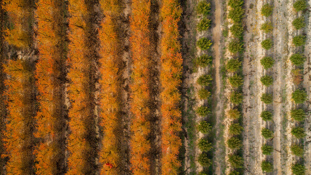 Aerial view of a countryside at autumn season