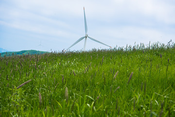 시원함과 여유로움