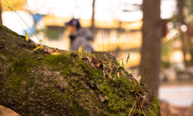 자연의 신비로움