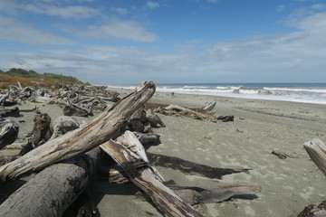 Fototapeta na wymiar Strand mit Treibholz in Neuseeland