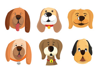 Set of  vector faces of different dog breeds, Dog head icons in flat style isolated on white background