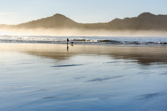 Anonymous person walking with their dog on the beach at morning 
