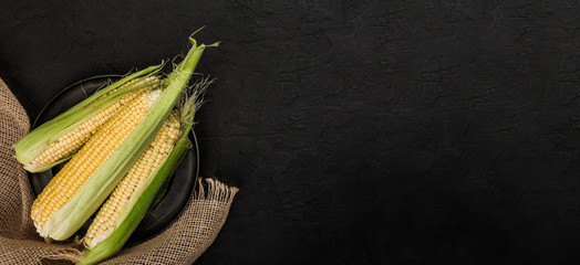 Fresh corn on cobs on a dark stone table. Food concept. Copy space top view. Wide composition