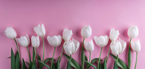 White tulips flowers over light pink background. Greeting card or wedding invitation. Flat lay, top view, copy space. Wide composition