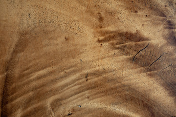 Close-up Wooden Natural As Background