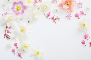 spring flowers on white background