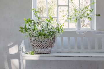 spring flowers in basket on white wooden bench