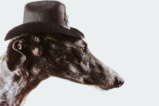 There's a new sheriff in town!