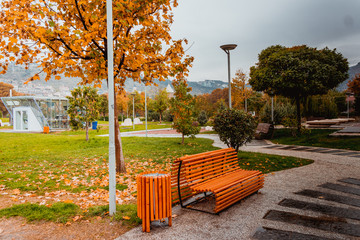 autumn park in georgia