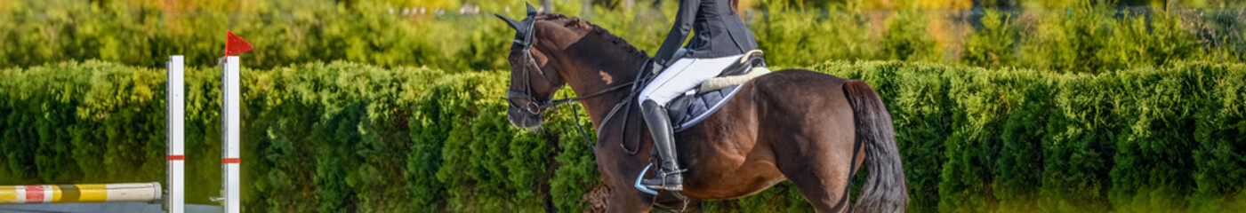 Beautiful girl on sorrel horse in jumping show, equestrian sports. Light-brown horse and girl in uniform going to jump. Horizontal web header or banner design. Copy space for your text. 