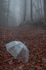 Autumn foggy day with transparent umbrella