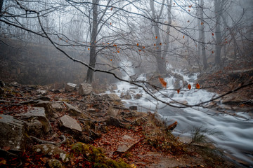 little waterfalls in rainy autumn forest
