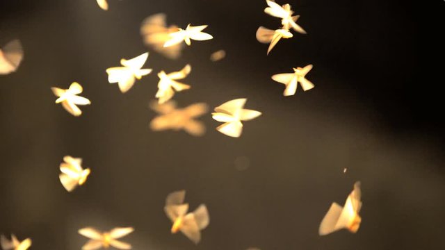 Fairy glow and luminosity of flying insect wings in tropical summer climate of rainforest jungle environment