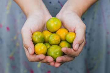  Citrus Japonica Thunb
