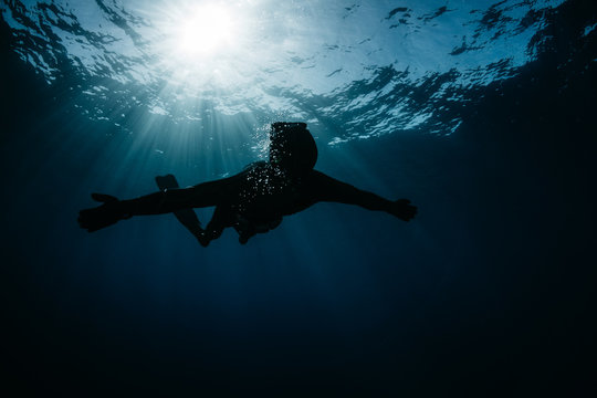 Freediver exploring water of ocean